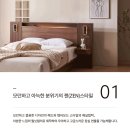 이시아금성 | [대구 금성침대] KS1241 & 클라우디라H (K) 구매리뷰! 대구
