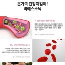 비에스렌탈 이미지