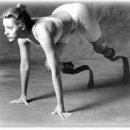 파이브데이즈 이미지