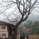 춘호농장 이미지