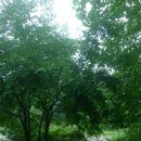 제일요양원 이미지