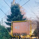 해밀테라스펜션 이미지