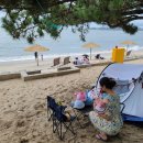신안 여행 / 1박 2일간 즐긴 한국의 발리 &#39;증도&#39;와 남도 음식