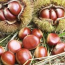 평화농원 이미지