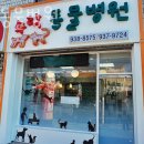 노원초교 | 강북구 상계동 동물병원 수락동물병원 진료시간 접근성 이용후기