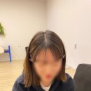 보네헤어