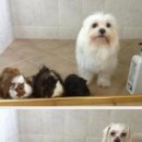 뽀송뽀송 이미지