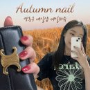 네일하슈