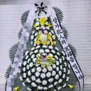 초이플라워 이미지