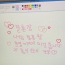 솔카페 Daum카페