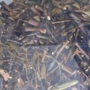 허덕교 화장실 이미지