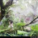 빅씨마 | 태국 치앙마이 쇼핑리스트 빅씨마트 먹거리 기념품 치앙마이 우기 날씨 정보