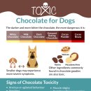 카카오 동물병원 이미지