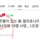 리치밸리(주) 이미지