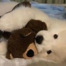 만년남로 이미지