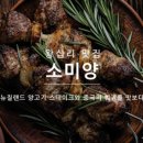 살빼는 재미 기트리닷컴 이미지