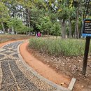 북신해안로 이미지