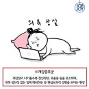 꼬꼬베리덕 | 🇦🇺방학동안 한 짓 / 한여름의 크리스마스 보내기 / 2026년도 화이팅