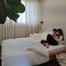 제제게스트하우스