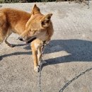 수야농장 이미지