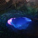 이순신 묘 이미지