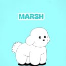 남궁농장 | 호치민 근교 여행 메콩강 프라이빗 투어 과수원 I 강아지랑 베트남 호치민 여행 EP.12