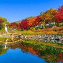 (공지취소)11월 22일 제천여행 배론성지,의림지 이미지