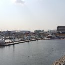 아라 휘트니스 이미지