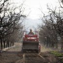 천부농장 이미지