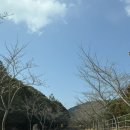 소3-9 | 제주 가볼만한 곳 대한민국 1000대 명품 숲이 있는 이승이오름 3/9 방문후기