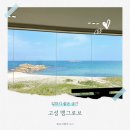 맹그로브 고성 | 속초 워케이션 다녀왔어요~ 맹그로브 고성 데이패스 후기