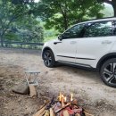 계림정야영장 이미지