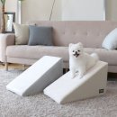 아담펫 | 우리 강아지 관절 지킴이! 초코펫하우스 슬라이드스텝 솔직 후기