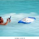 천연상회