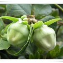 우리둘이 이미지