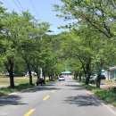 대한의백 이미지