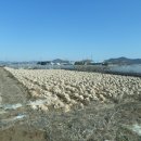 봉곡동123 이미지