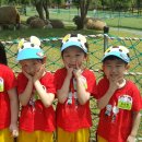 석천몬테소리어린이집 이미지