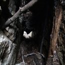 봉화인터내셔널 이미지