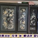 대광어페럴