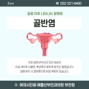 애플산부인과 부천점