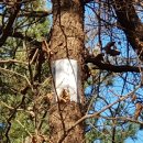 우리농장1 이미지