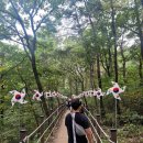 강산에 글램핑 | 영월여행추천 다슬기해장국, 한반도 지형, 선돌, 청령포, 영월시장