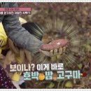 중산농원 네이버블로그