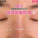 리온메디
