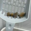 더케어벳 네이버블로그