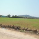 보성리사무소 이미지