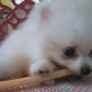 비밀