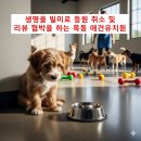 매일행복하개 이미지