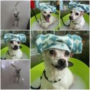 영심이꽃세상